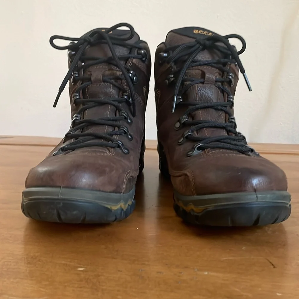 Ecco Dhaka Mid GoreTex Hiking Boot Size 41